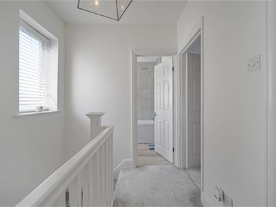 Picture 20